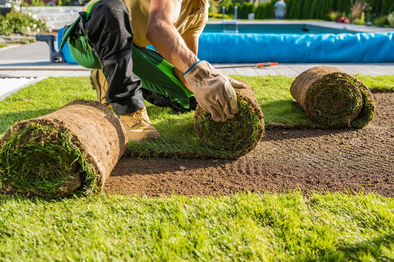 Fresh lawn installation
