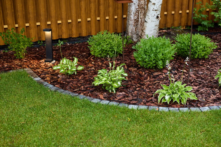 Garden with outdoor lighting
