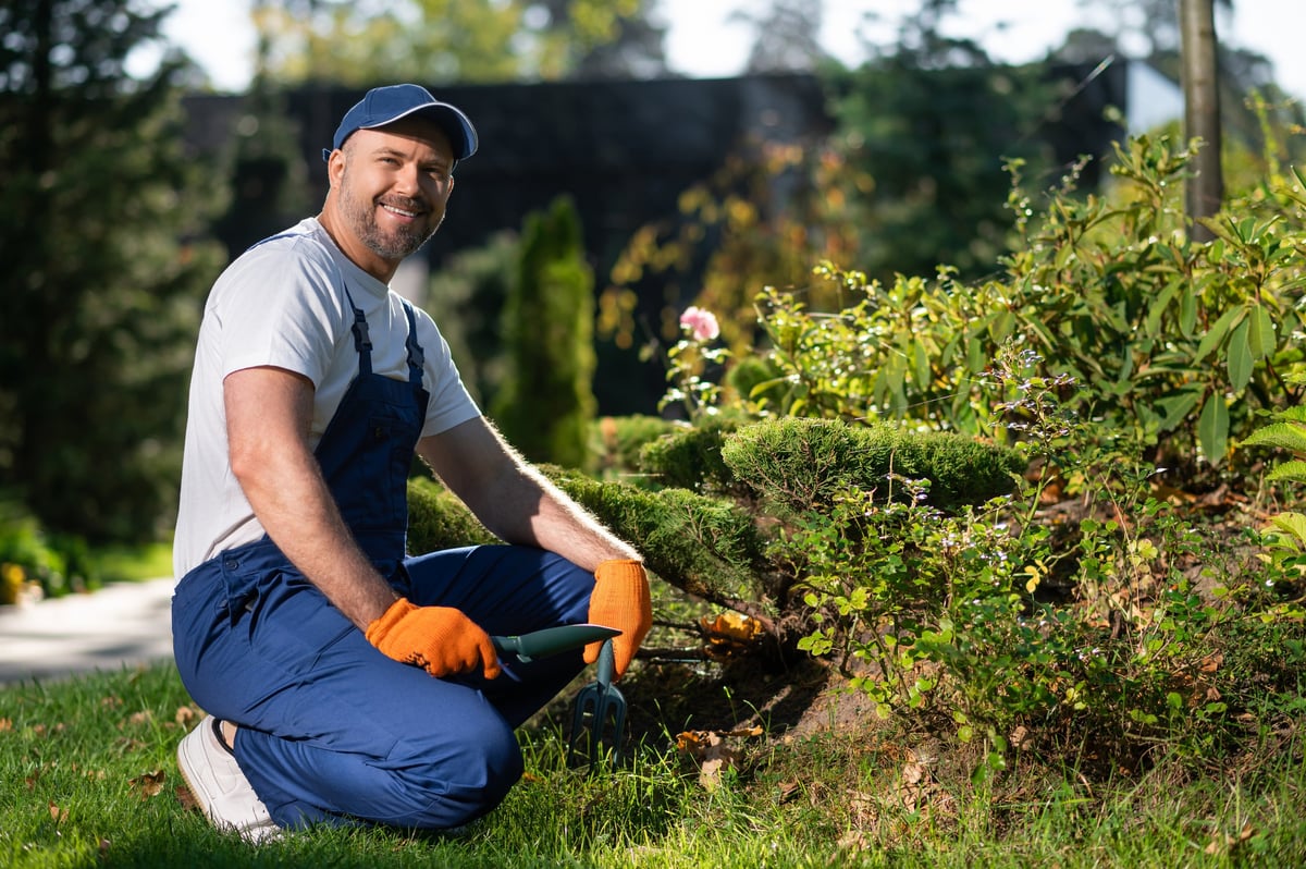 Professional gardener at work